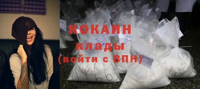 купить наркоту  Лермонтов  Cocaine FishScale 