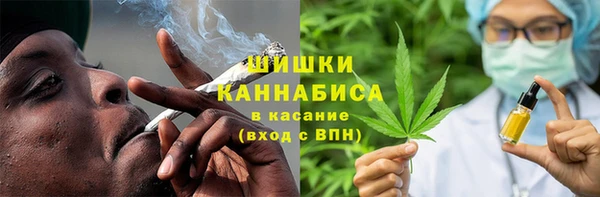 гидра Корсаков