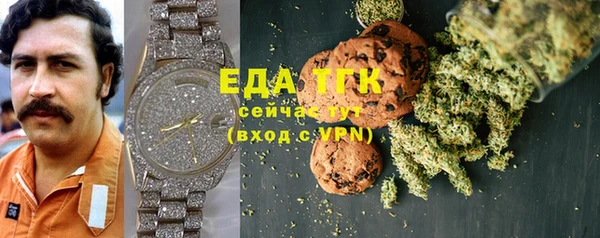 гидра Корсаков