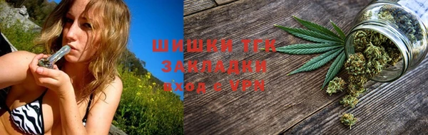 гидра Корсаков