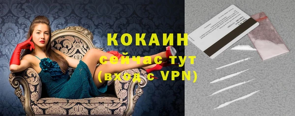 винт Козловка