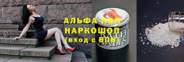 гидра Корсаков